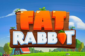 fat rabbit